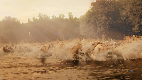 horse_stillframe.png