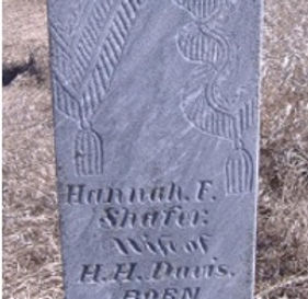 PL91HannahShaferDavis.jpg