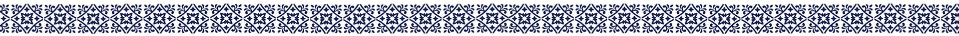 azulejo largo.png