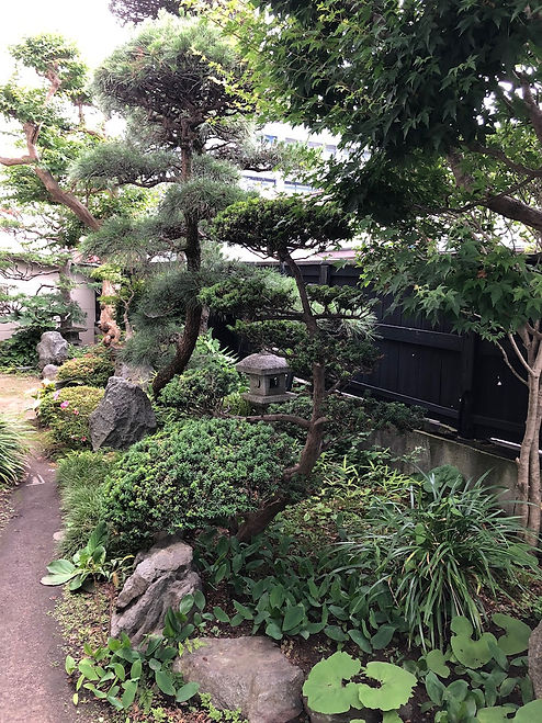 お庭