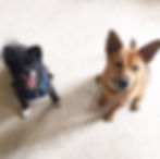 Call to schedule an appointment!