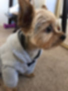 Call to schedule an appointment!