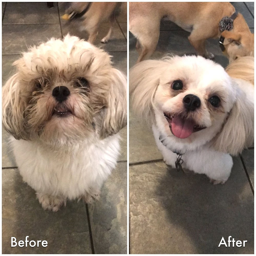 Call to schedule an appointment!