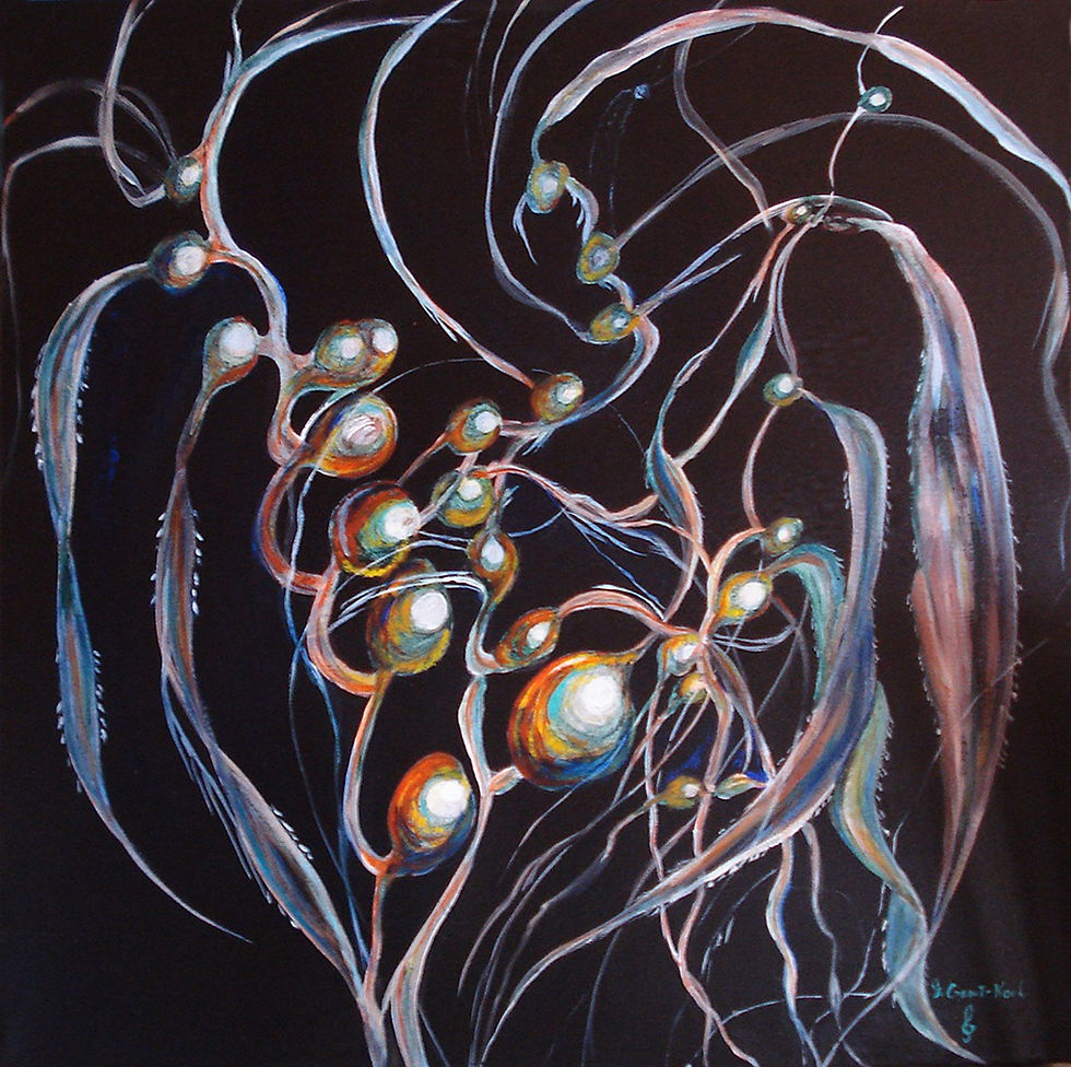 Pacific Kelp 5