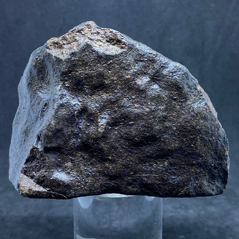 Thumbnail: Chondrite North-West Africa