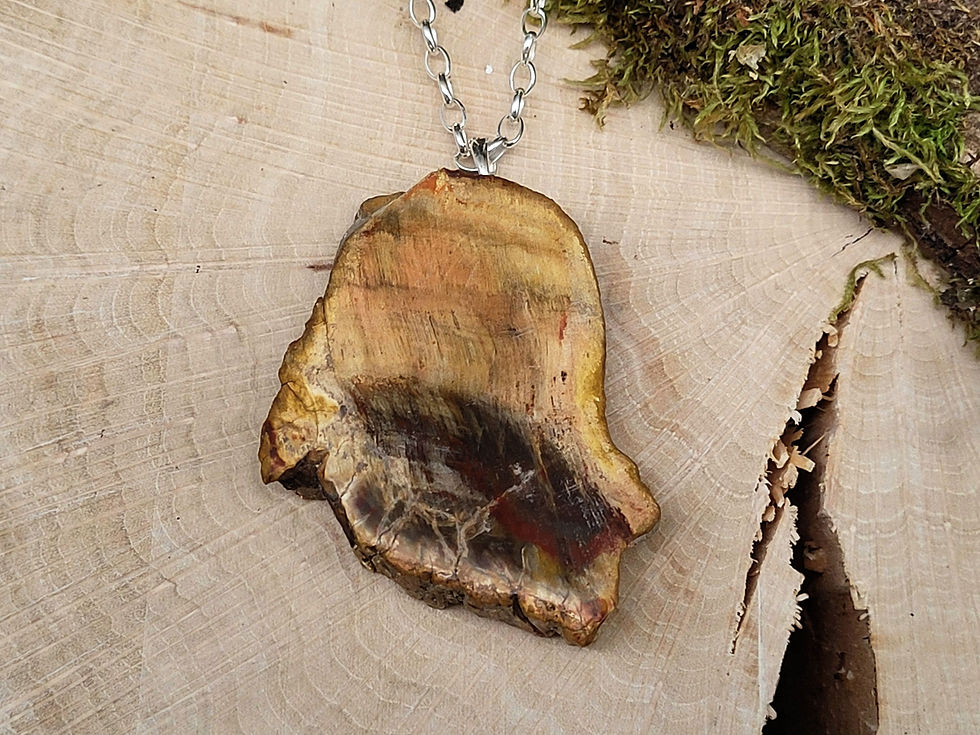 Miniaturbild: Versteinertes Holz Anhänger mit 925er Silberöse
