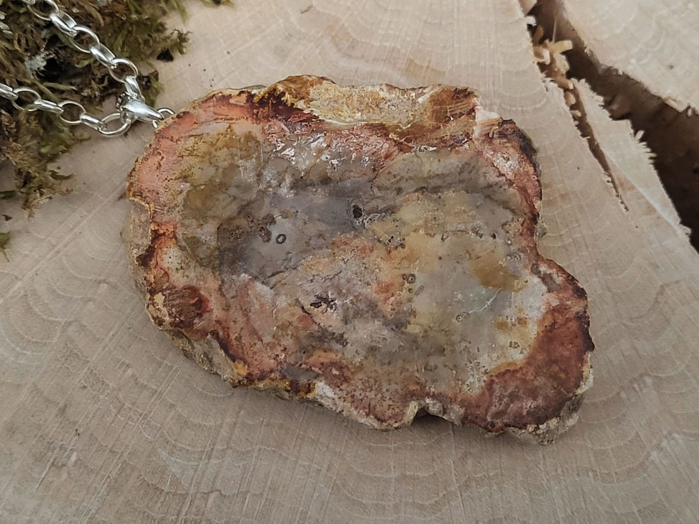 Miniaturbild: Versteinertes Holz Anhänger mit 925er Silberöse