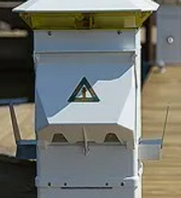 Screenshot 2026-03-31 10.png