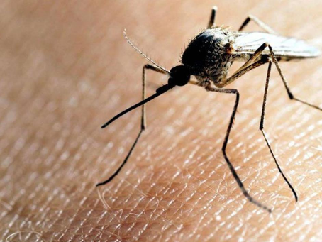 En la Costa Caribe se encuentran los caso de dengue mas alto de Sucre, Bolívar, César y Córdoba
