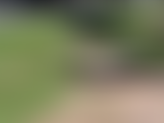 Un Accidente de tránsito deja una persona muerta en la vía Sahagún – Chinú en córdoba