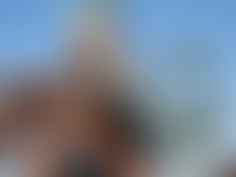 La yuca es uno de los productos que más ha subido de precio en la region caribe colombiana