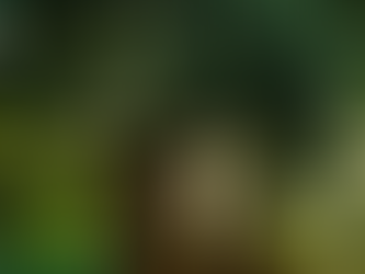 Un hombre murió tras caer de un palo de mango en el atlántico.