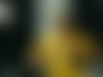 Byron Castillo no jugó con BSC por "problemas familiares", asegura el club