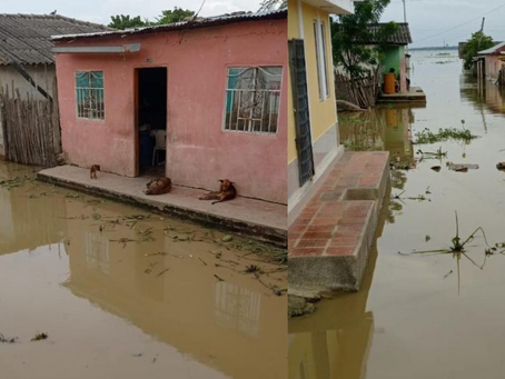 Los Habitantes de corregimiento de Pedraza viven con el agua hasta las rodillas