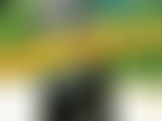 Un Triple asesinato en la avenida circunvalar de Barranquilla