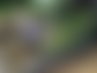 Las Inundaciones amenazan producción agrícola en La Peinada-Lorica