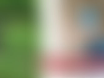 UN JOVEN LORIQUERO FUE ACRIBILLADO EN REMEDIO ANTIOQUIA.