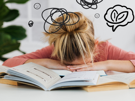 mulher com o rosto nos cadernos