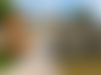 🏠 卖房必看:翻新还是原样卖更划算?