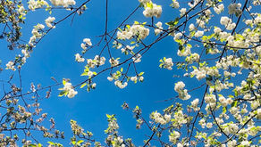 HORAIRES D'OUVERTURE / Mai 