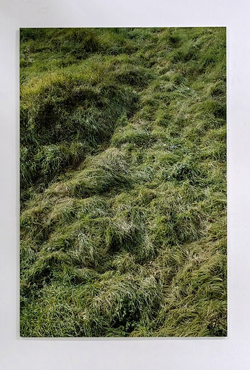 Installation view of an exhibition at bEam arts gallery