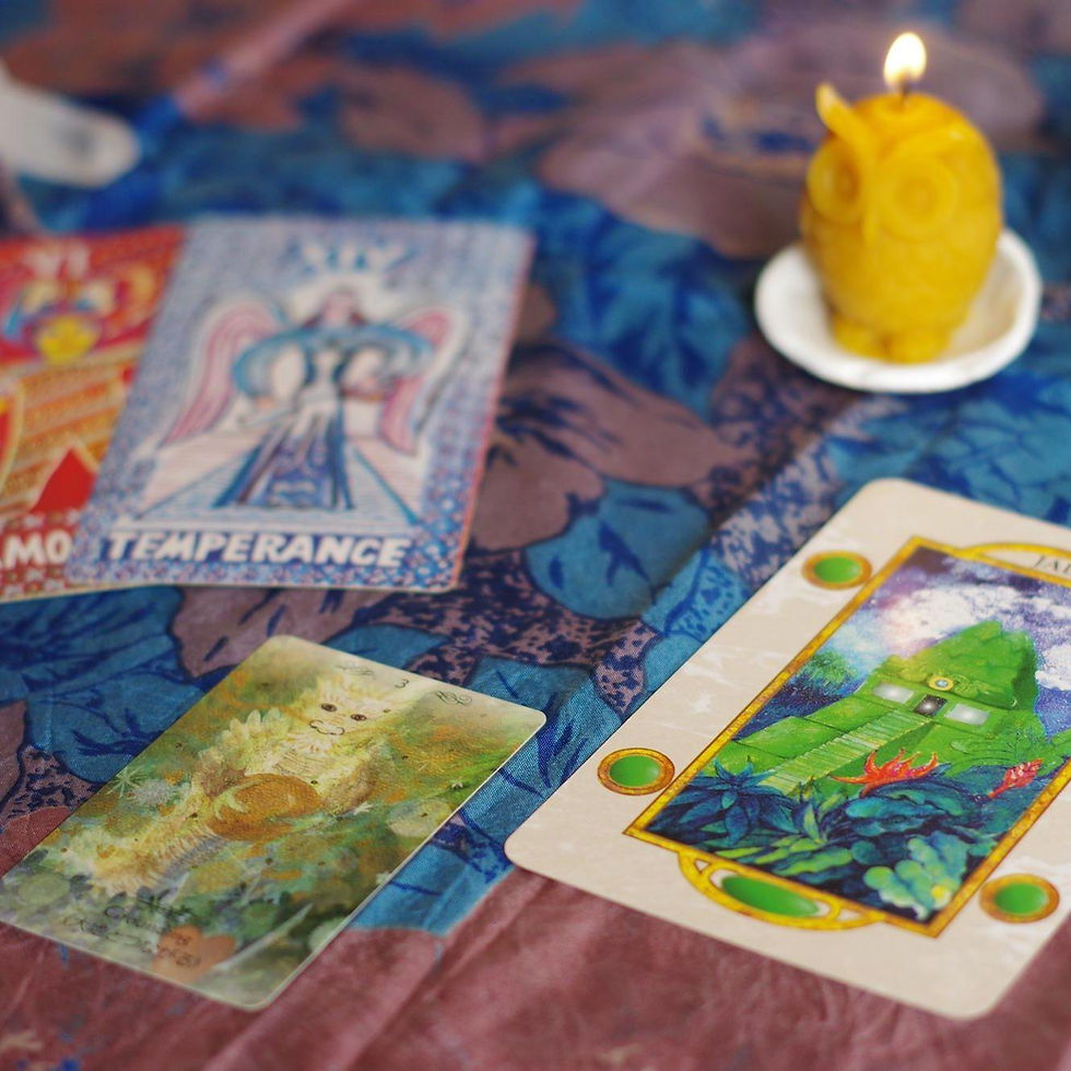 《魔法を売る店》