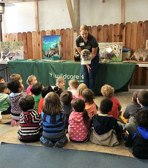 preschool, toddler preschool, day care, infant day care