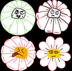 Figgin Chamomile Coasters