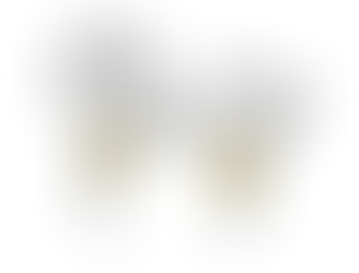 Infoveranstaltung mit Doug Hayes
