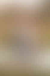 Family photo amongst the long grass in Fleet Hampshire