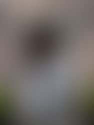 A groom leads his new bride out of poole court, Yate. 