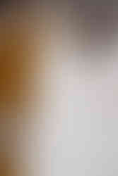 A close up of the lace on a bridal dress