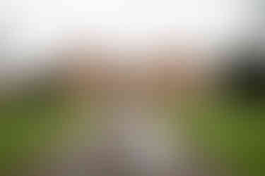 A blonde bride in a sweetheart fitted bodice lace gown and her new husband share a kiss