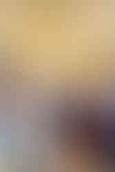 Alton Registry Office Wedding Photography