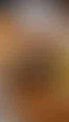 A selection of homemade food treats laid out on a table