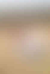 Family photo amongst the long grass in Fleet Hampshire