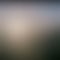 35mm film image of a sunset over a vineyard in Surrey