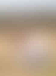 Family photo amongst the long grass in Fleet Hampshire