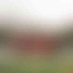 Cat Roberts in a Maserati