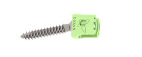 PARAFUSO PERLA MEDIO-LATERAL.png