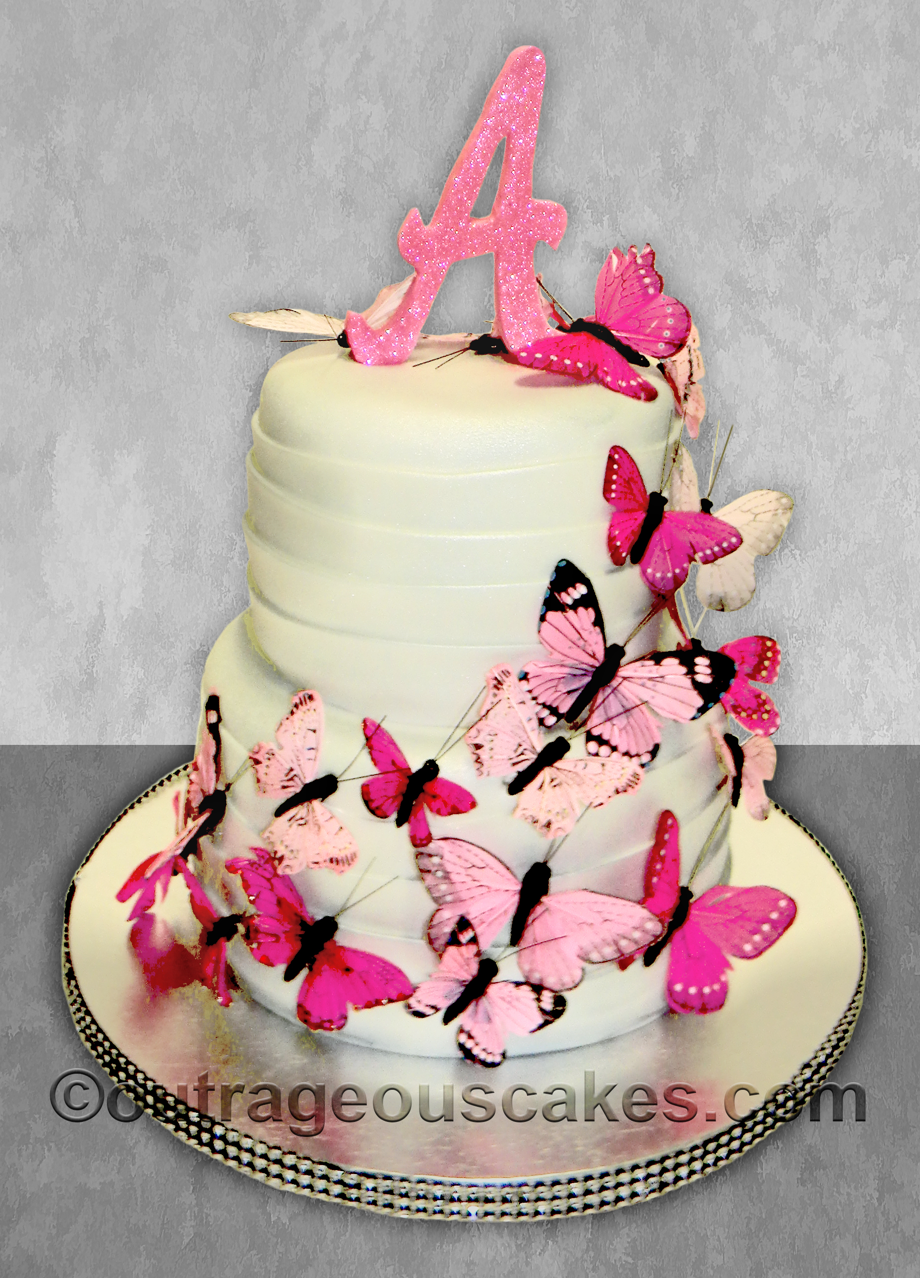 Outrageous Cakes Tampa Bakery Adult Burthday Cakes