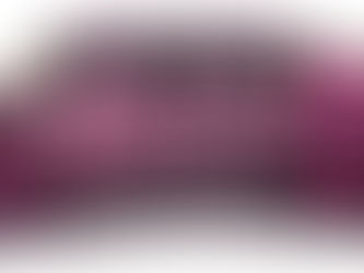 We Out Here Altadena Celebrates One Year of Eaton Fire Relief