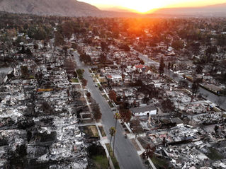 2025: The Year DENA Chose Each Other