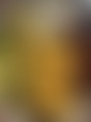 Scrambled Eggs and Some