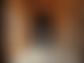 Defining India's Cultural Heritage