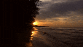 DependableUnrealisticBrownbutterfly-max-