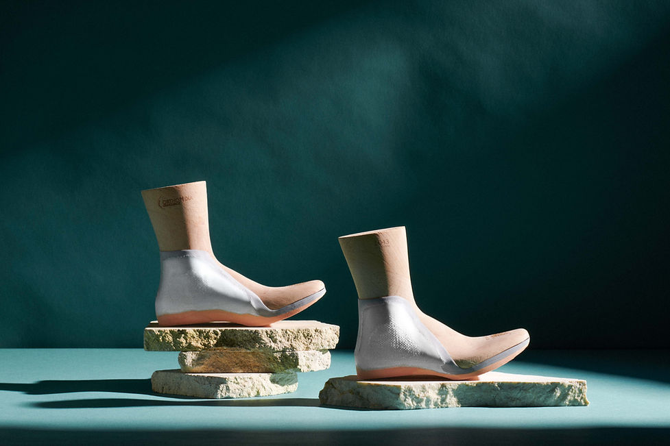 Componentes Ortopedicos Lusocal.jpg