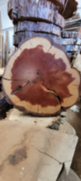 Sequoia Redwood Round