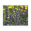 Thumbnail: Bees and Caucasus Catmint Puzzle - Series B