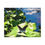 Thumbnail: Blue Morpho Butterfly Puzzle